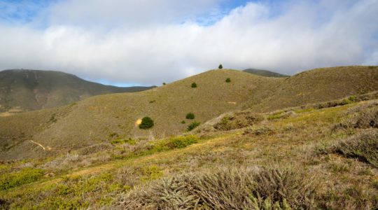 Ty and Buster at Grey Whale Cove Trail - Pacifica, CA