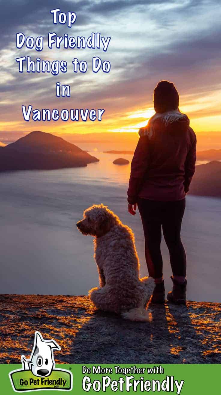 Woman dog on a mountaintop near Vancouver at sunset