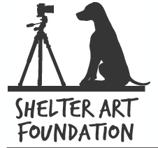 Shelter Art Foundation Logo