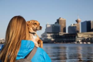 Woman holding her little dog, Chihuahua, and enjoying the beautiful view of downtown Vancouver, BC