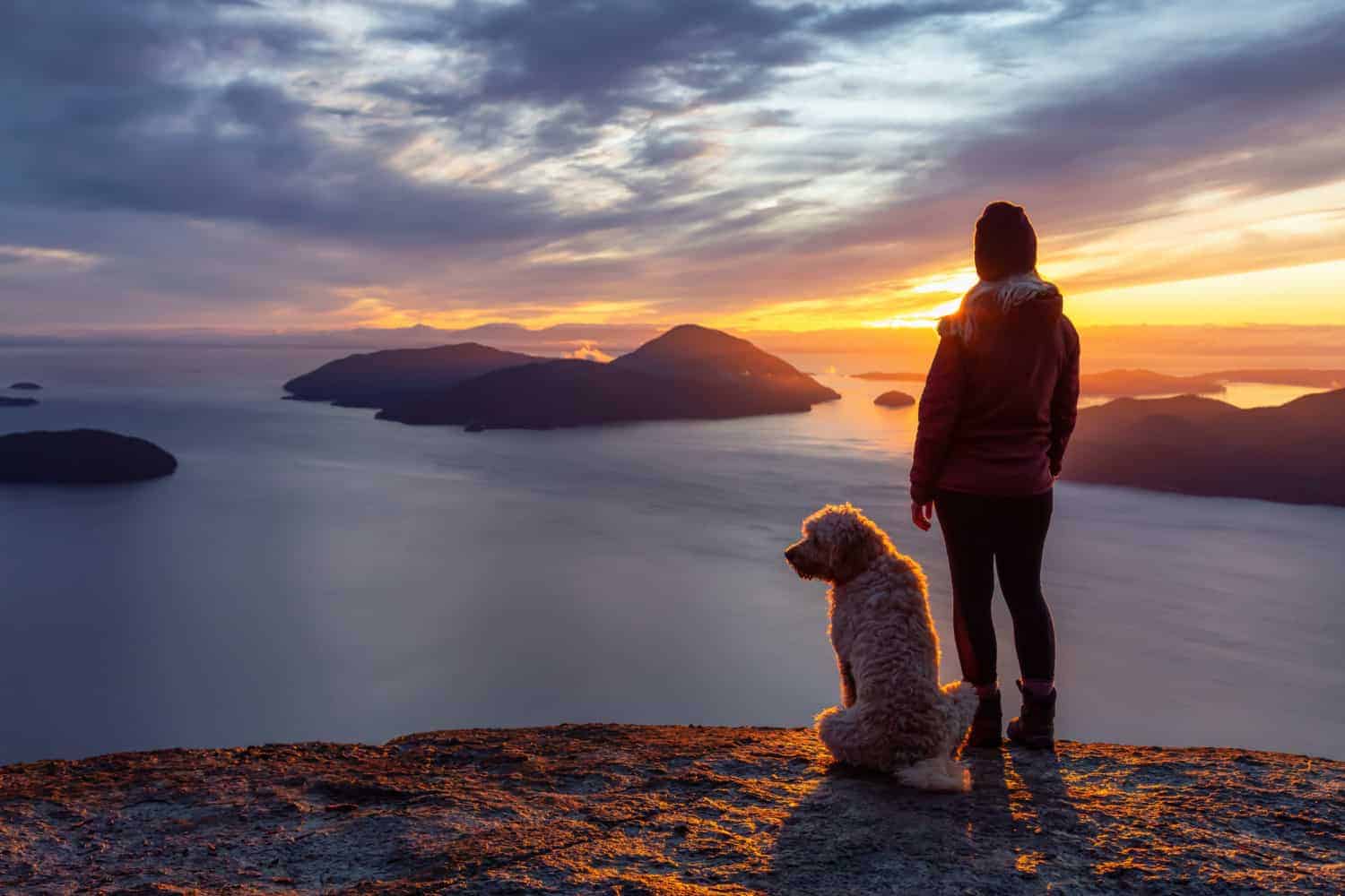 Woman dog on a mountaintop near Vancouver at sunset