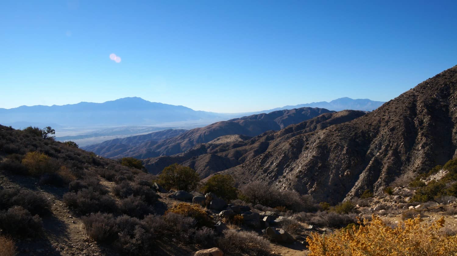 Joshua Tree National Park - Palm Springs, CA