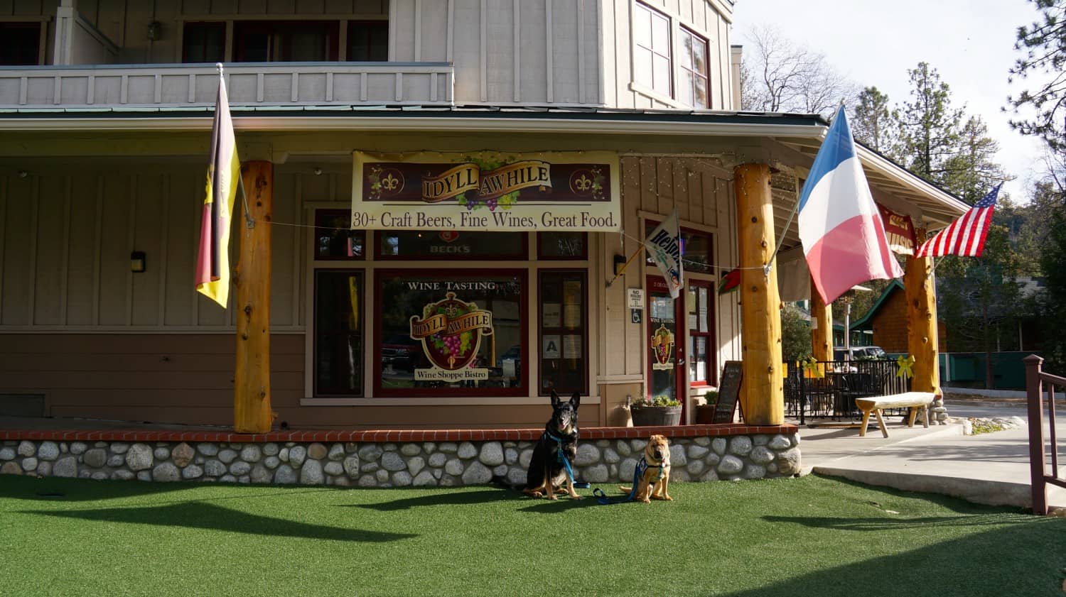 Buster and Ty - Idyllwild, CA