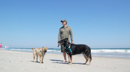 Dogs on the Beach - Myrtle Beach, NC