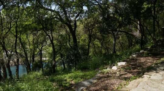 Guadalupe River - Gruene, TX