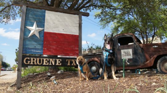 Ty and Buster - Gruene, TX