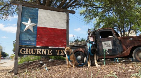 Ty and Buster - Gruene, TX
