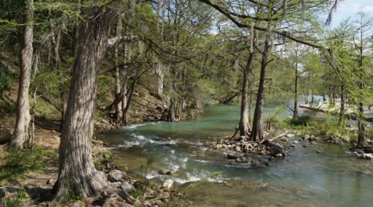 Guadalupe River - Gruene, TX