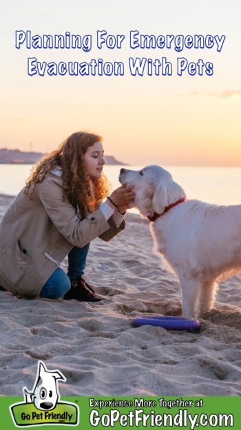 Woman holding her dog's face in her hands on a beach with the sun setting in the background