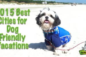 2015's Top 8 Cities for Pet Travelers from GoPetFriendly.com