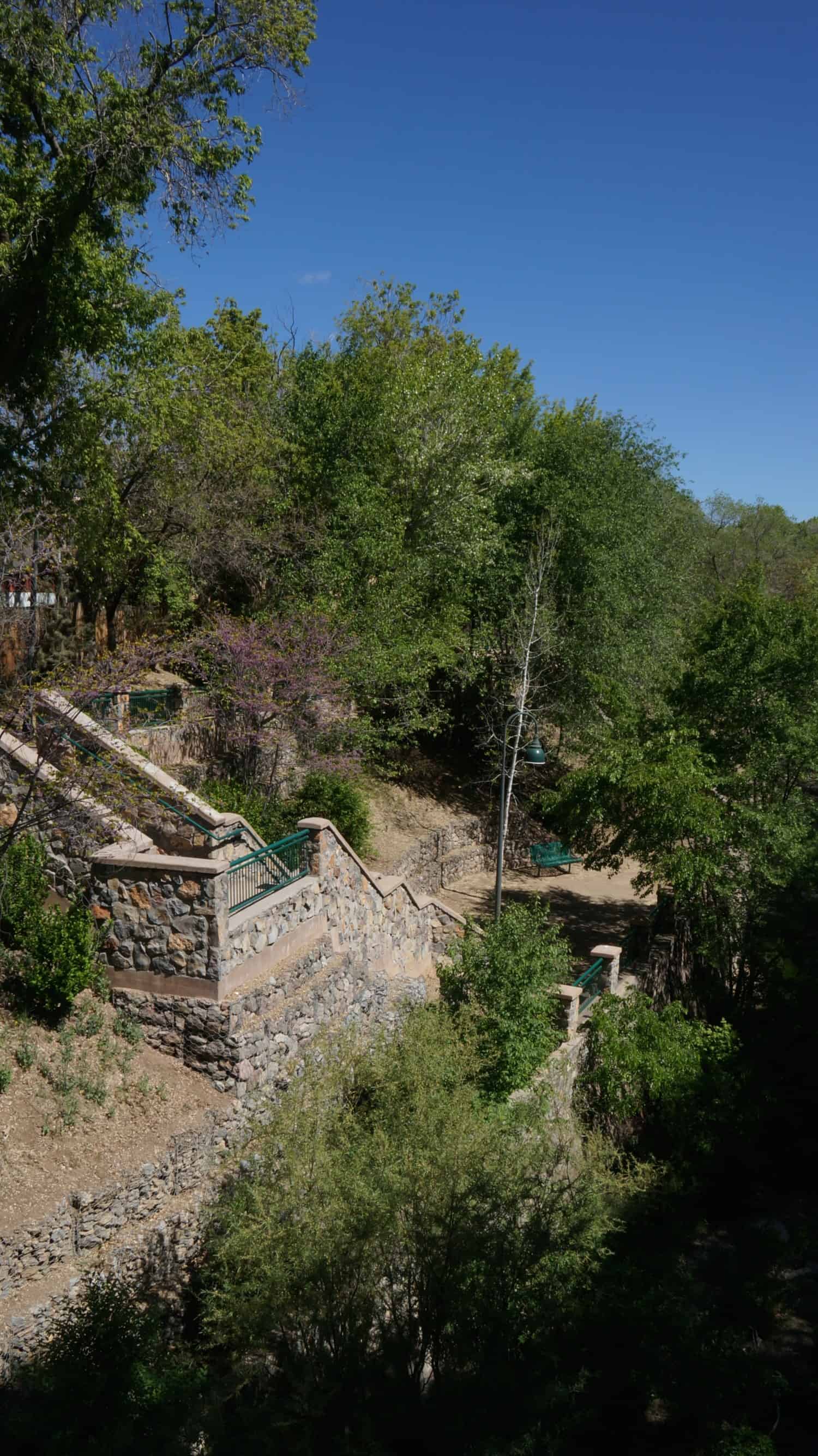 Seeing the Dog Friendly Sites in Silver City, New Mexico