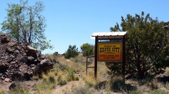 Seeing the Dog Friendly Sites in Silver City, New Mexico