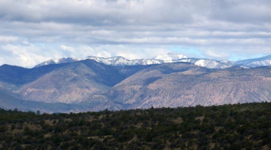 Seeing the Dog Friendly Sites in Sliver City, New Mexico.