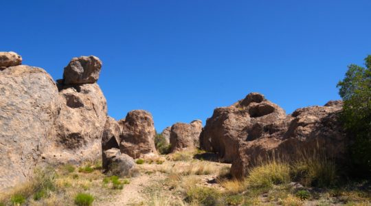 Seeing the Dog Friendly Sites in Sliver City, New Mexico.