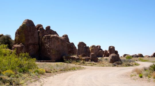 Seeing the Dog Friendly Sites in Sliver City, New Mexico.