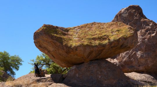 Seeing the Dog Friendly Sites in Sliver City, New Mexico.