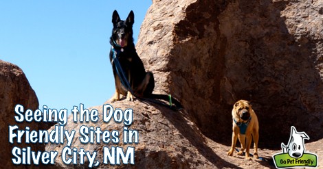 Silver City has oodles of pet friendly activities, and it's a great base for exploring this corner of New Mexico!