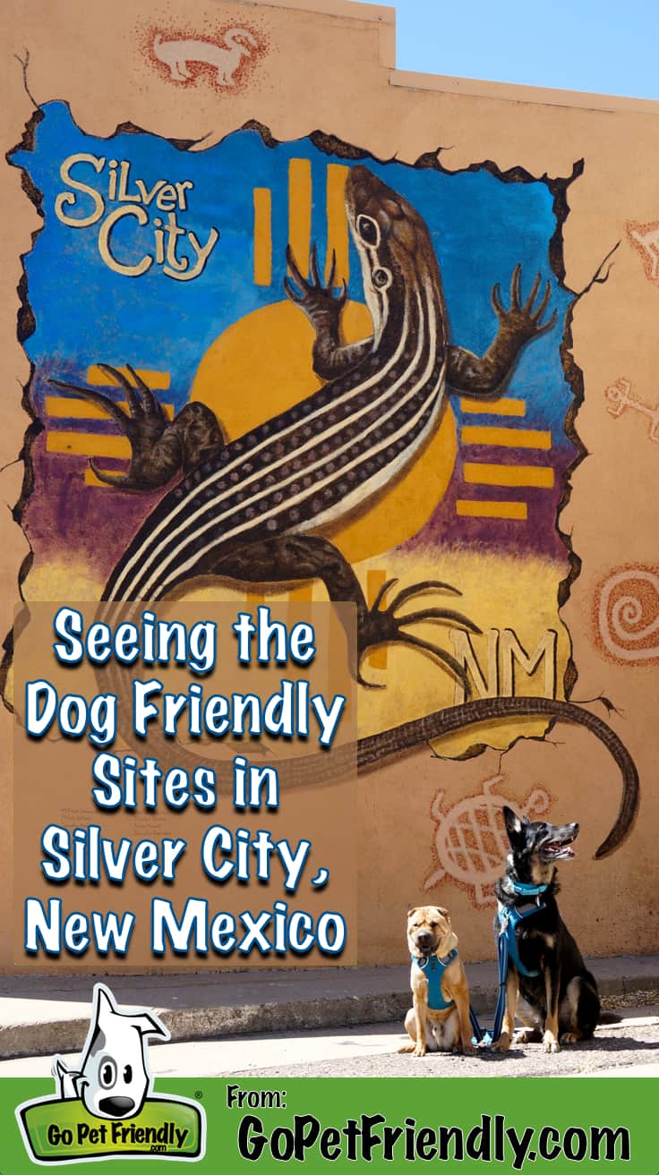 Silver City has oodles of pet friendly activities, and it's a great base for exploring this corner of New Mexico!