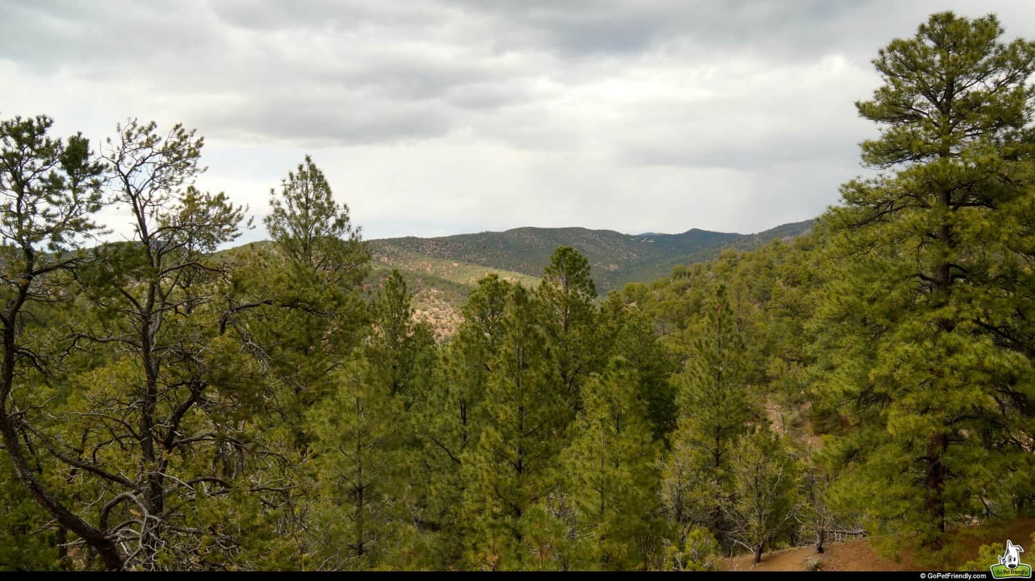 Hiking the Dale Ball Trails in Santa Fe, New Mexico