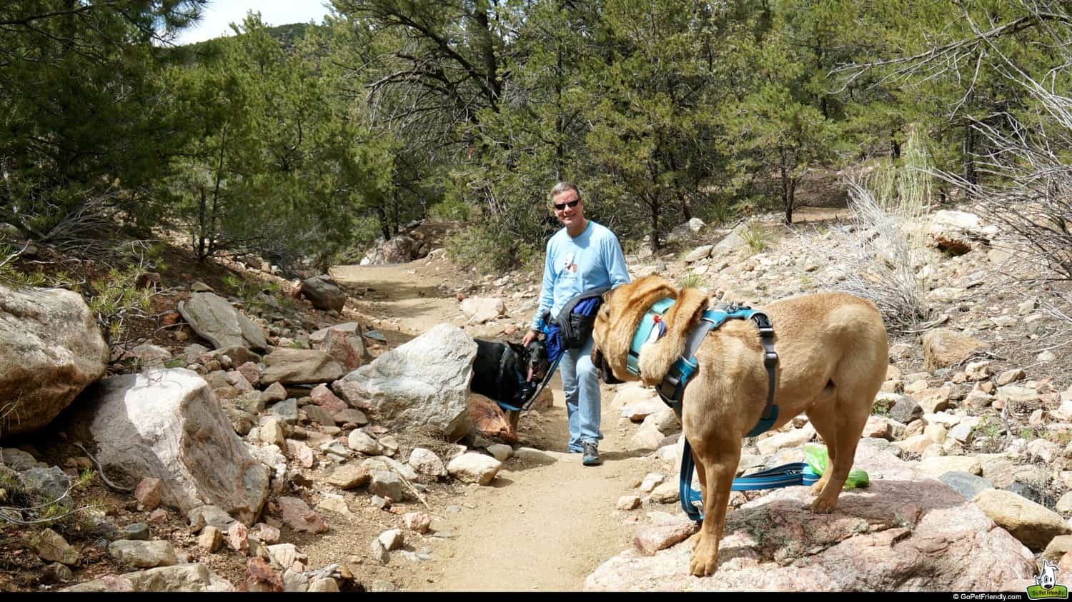 Hiking the Dale Ball Trails in Santa Fe, New Mexico