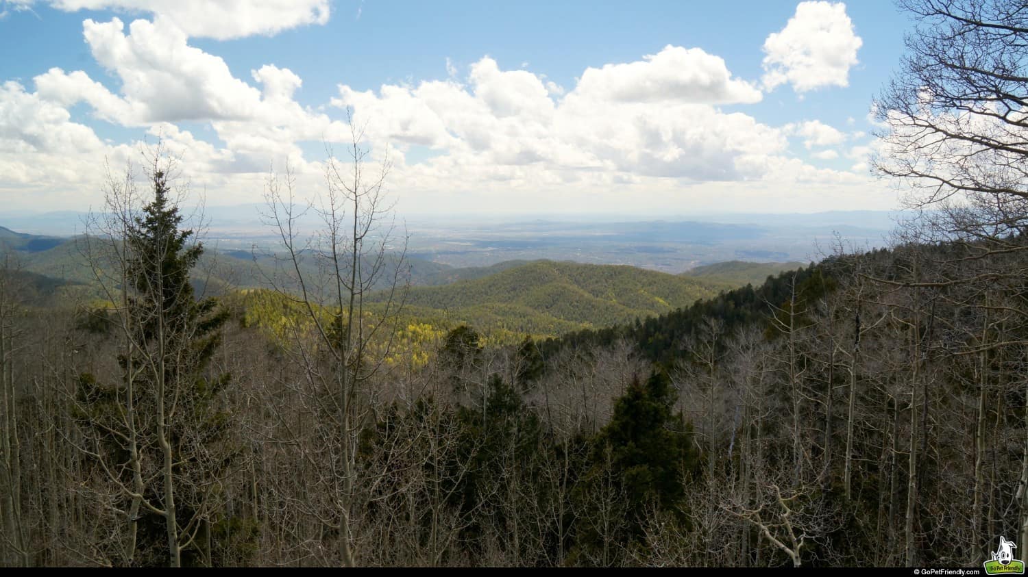 View of Santa Fe National Forest - Santa Fe, NM