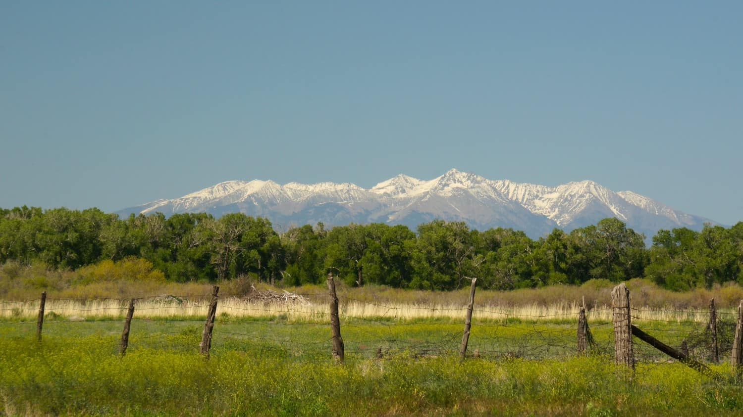 Rio Grande National Forest - Chama, NM