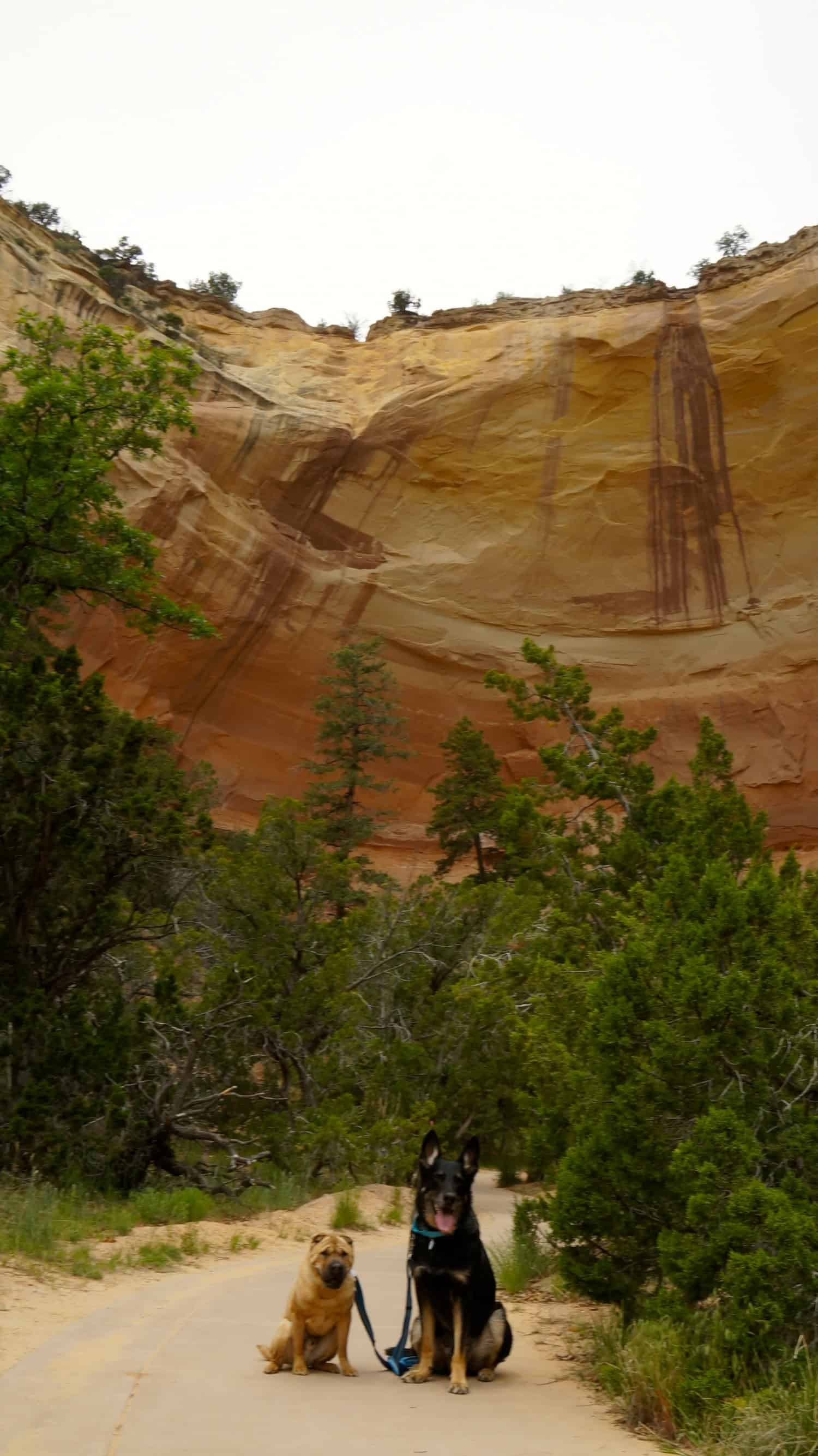 Echo Amphitheater - Chama, NM