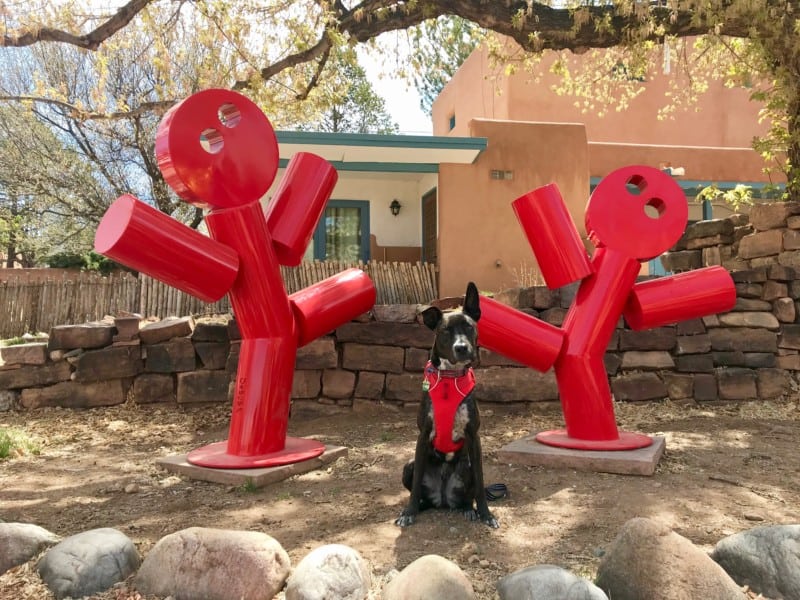 Brindle dog in red harness posting with sculpture of two dancing figures in Santa Fe, NM