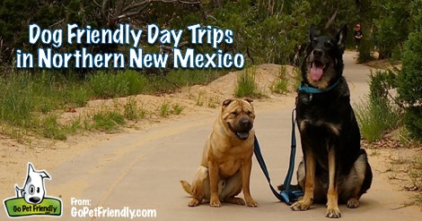 Dog Friendly Day Trips in Northern New Mexico - FB