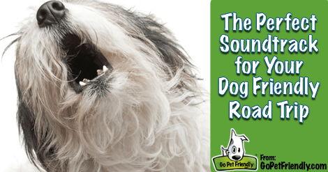 This is the perfect soundtrack for your next dog friendly road trip.