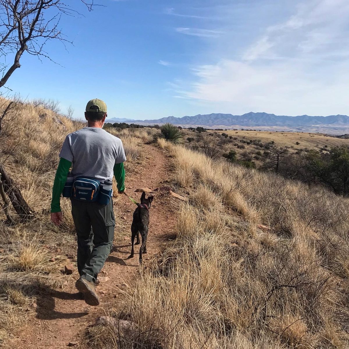 Man and dog hiking on a trail in Arizona