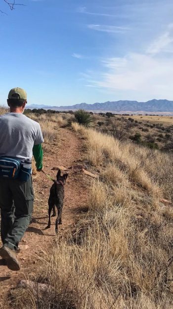 Man and dog hiking on a trail in Arizona