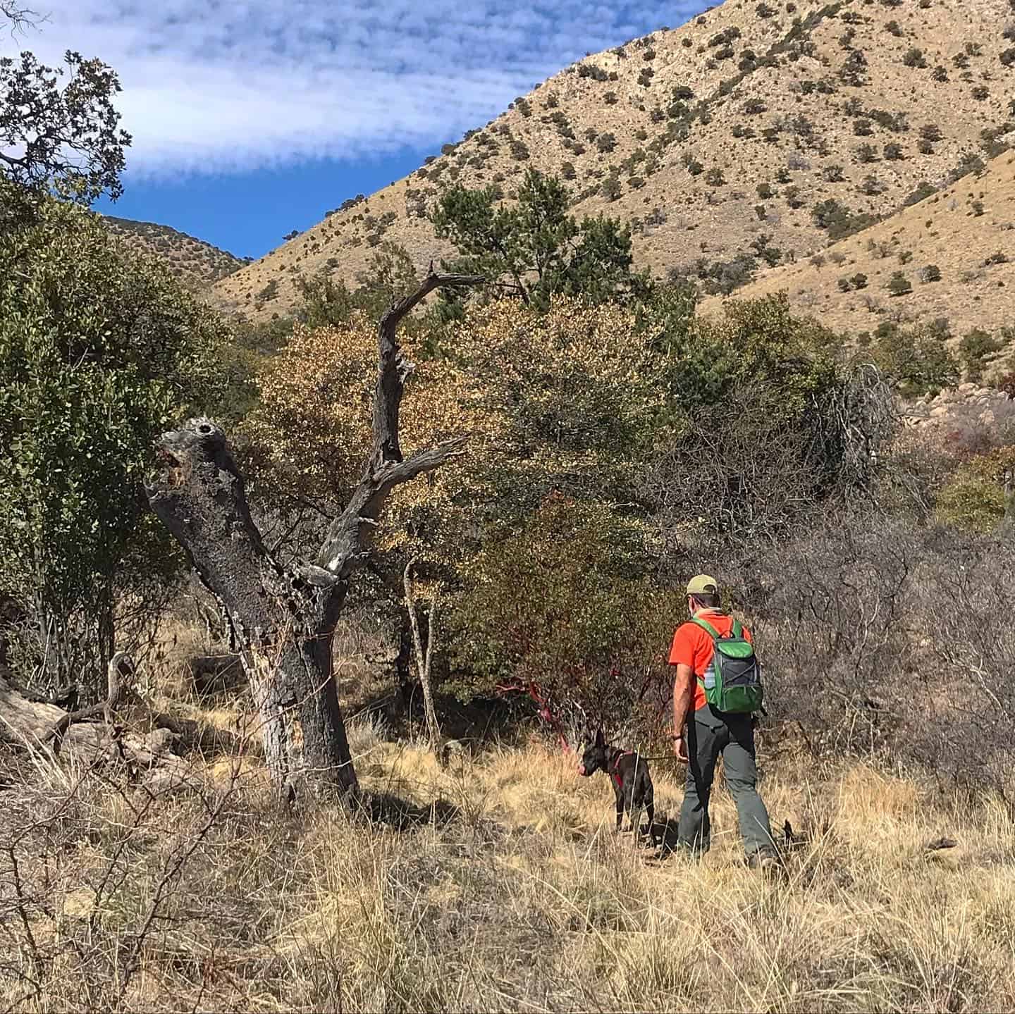 Man and dog hiking on a pet friendly trail in Arizona