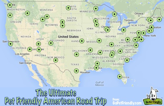 The Ultimate Pet Friendly American Road Trip