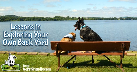 Lessons In Exploring Your Own Back Yard from GoPetFriendly.com