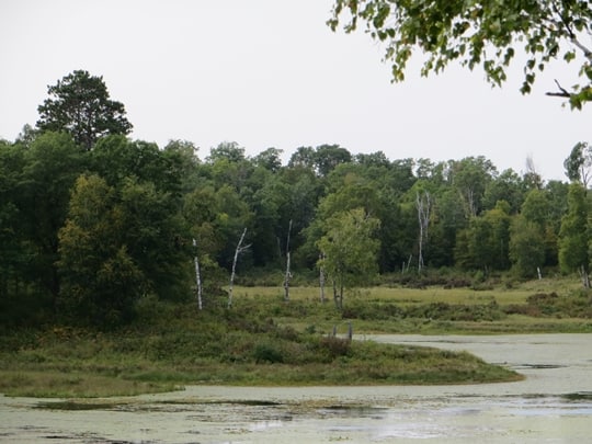 Itasca State Park - Park Rapids, MN