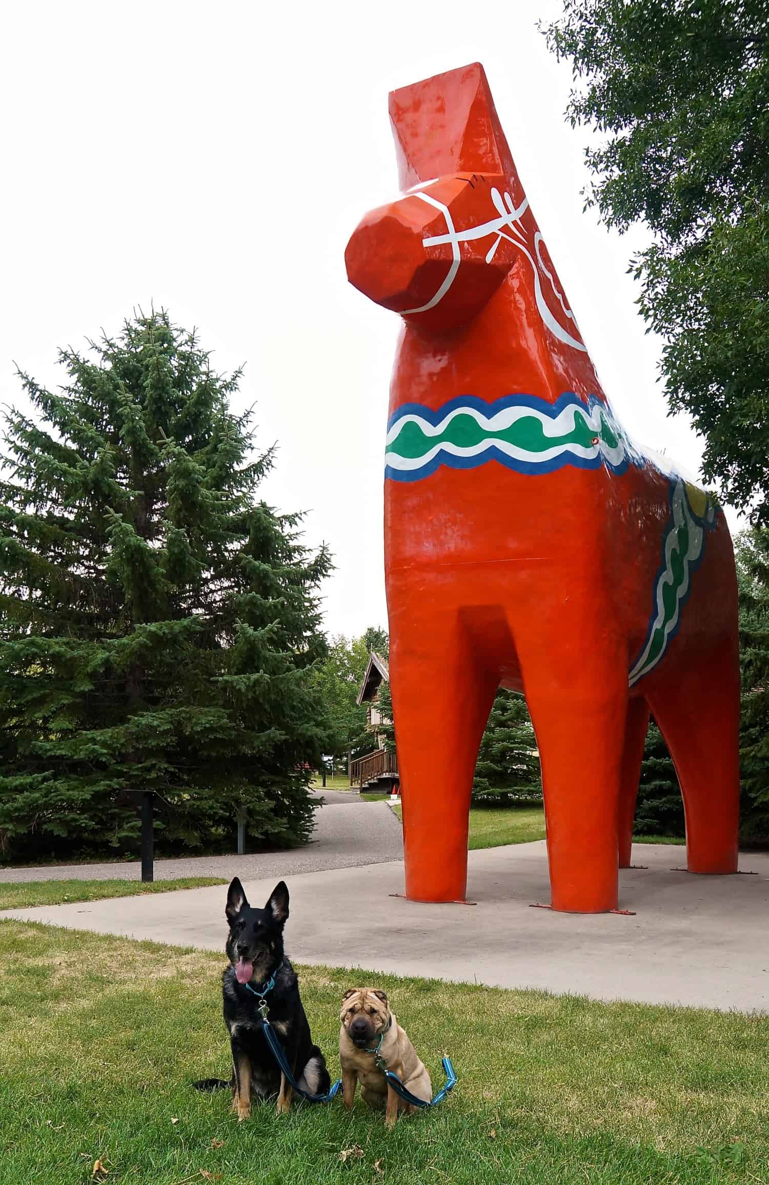 Scandinavian Heritage Center - Minot, ND