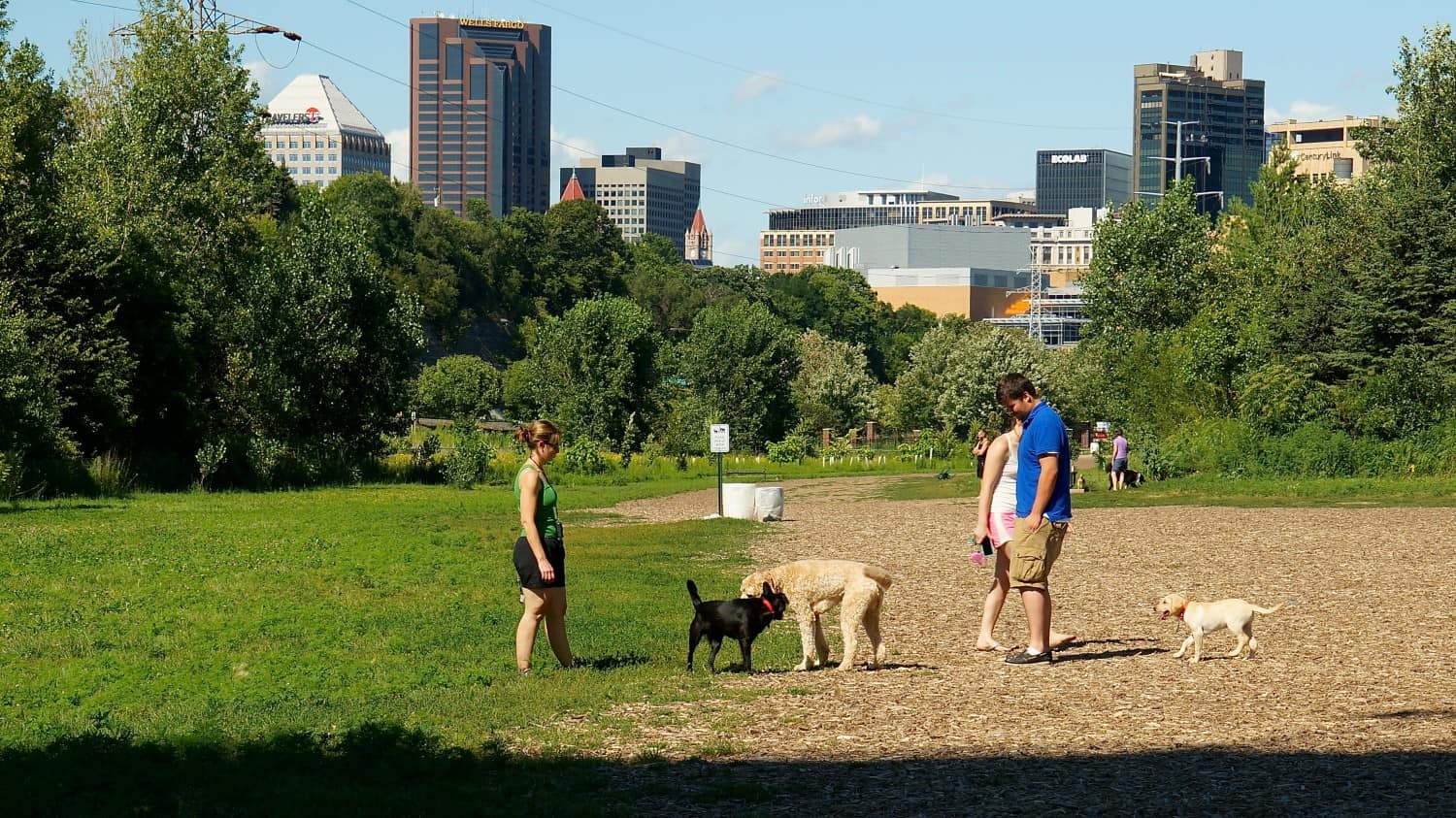 High Bridge Off-Leash Dog Park in Dog Friendly Minneapolis, MN