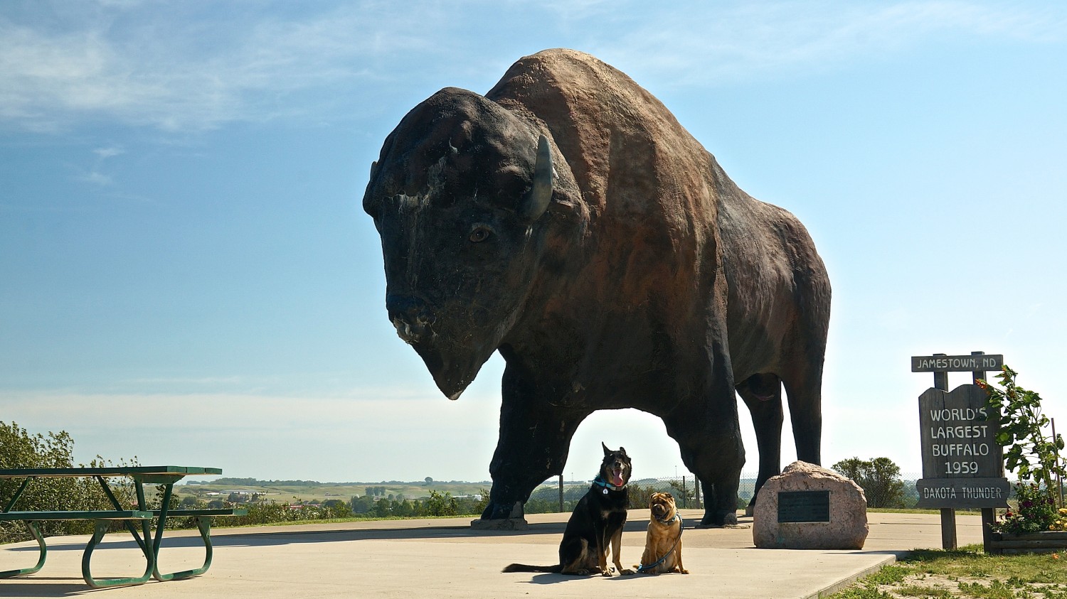 National Buffalo Museum - Jamestown, ND