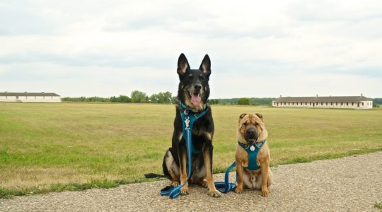 Fort Lincoln State Park - Bismark, ND