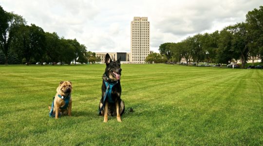 North Dakota State Capitol - Bismark, ND