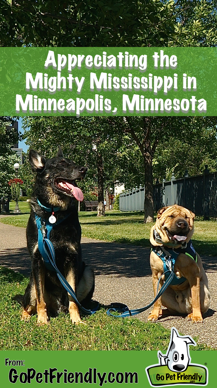 Appreciating the Mighty Mississippi with Dogs - Minneapolis, MN