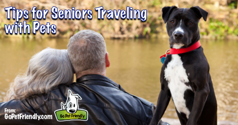 Tips for Seniors Traveling with Pets