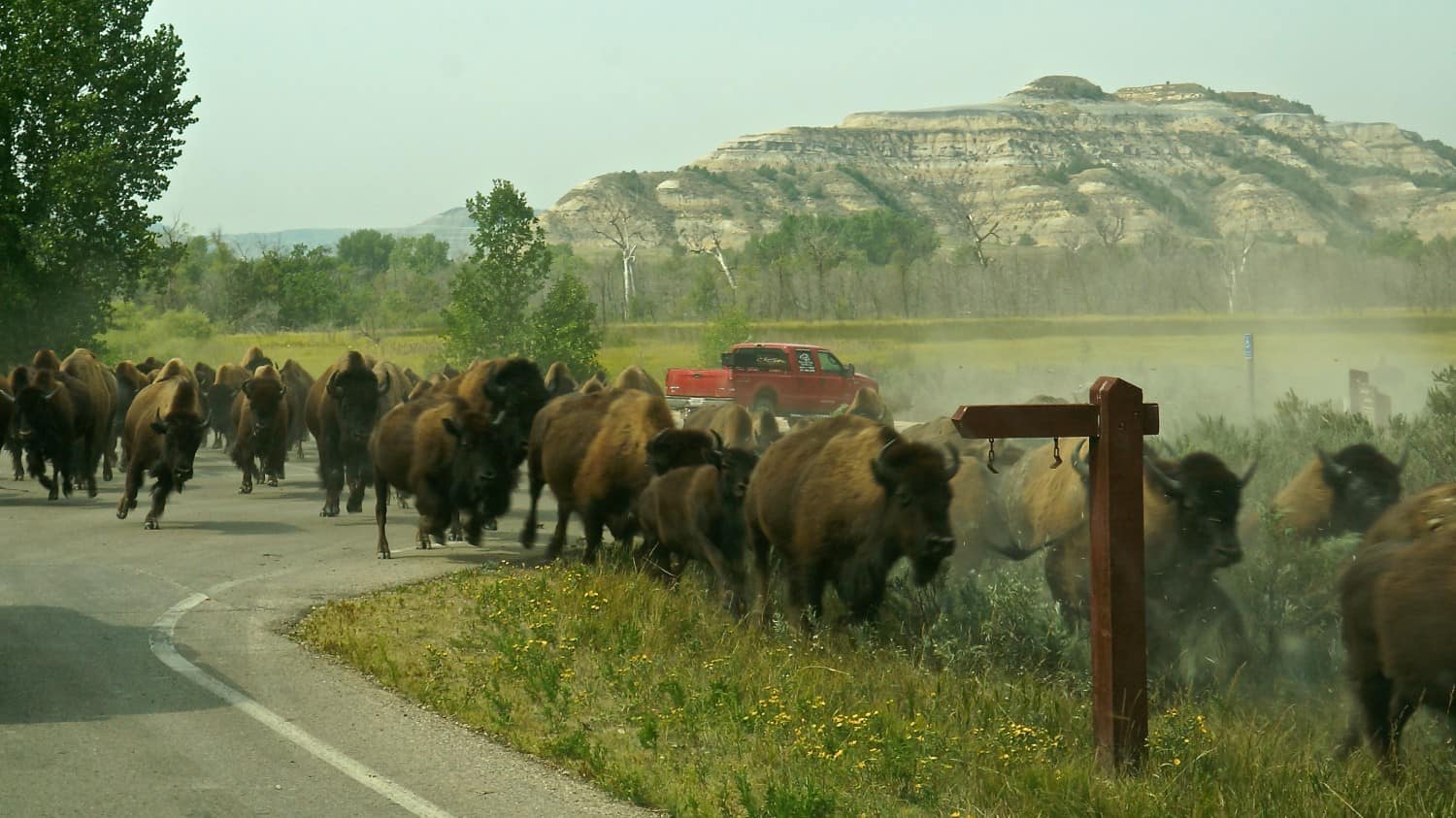 Theodore Roosevelt National Park - Medora, ND