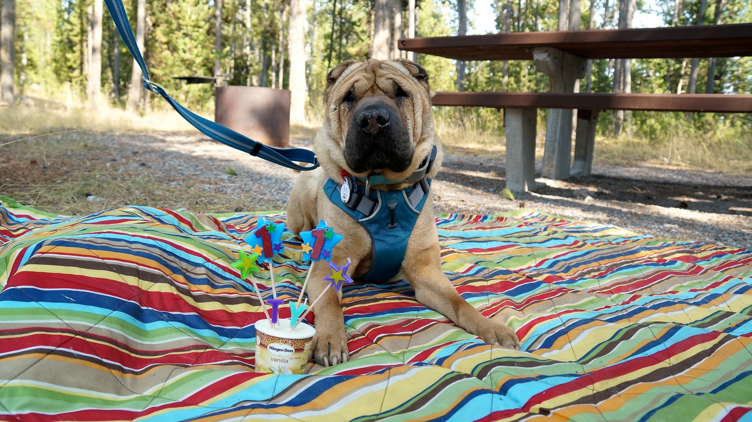 Ty's 11th Birthday - West Yellowstone, WY