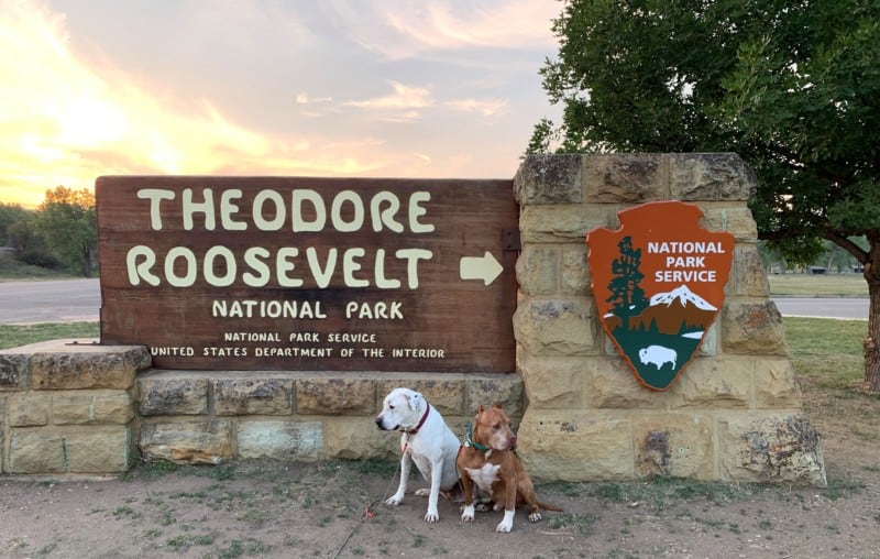Two dogs sitting in front of the sign for Theodore Roosevelt National Park