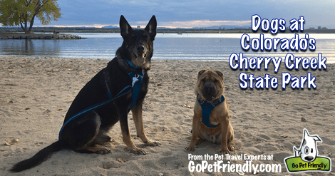 Visiting Colorado's Cherry Creek State Park with Dogs