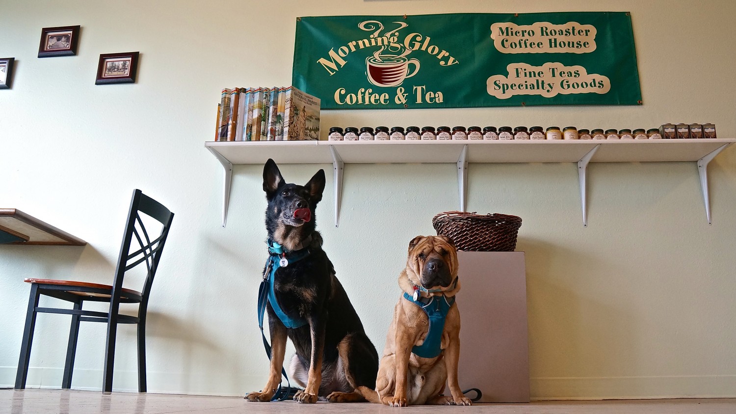 Morning Glory Coffee & Tea - West Yellowstone, MT