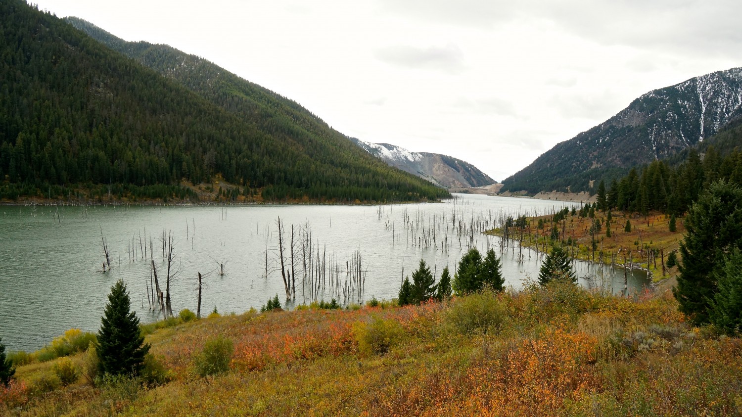 Earthquake Lake - West Yellowstone, MT