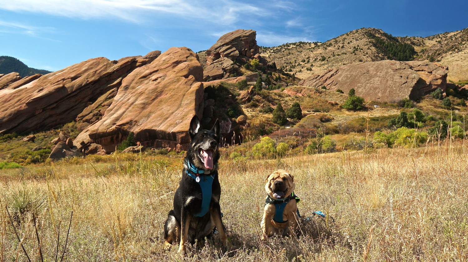 Red Rocks - Denver, CO